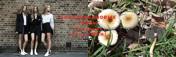 MDMA Бородино