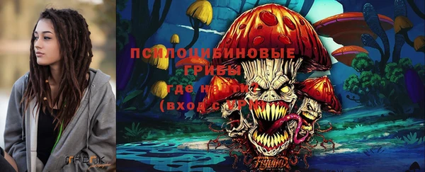 прущие крисы Богородицк