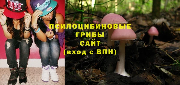 прущие крисы Богородицк