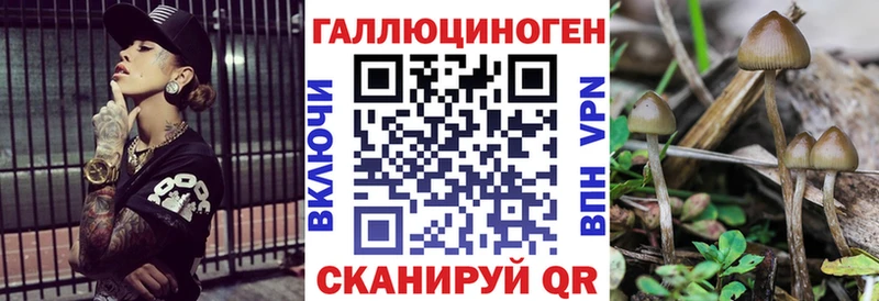 OMG как зайти  Красноуфимск  Псилоцибиновые грибы Psilocybe  купить закладку 
